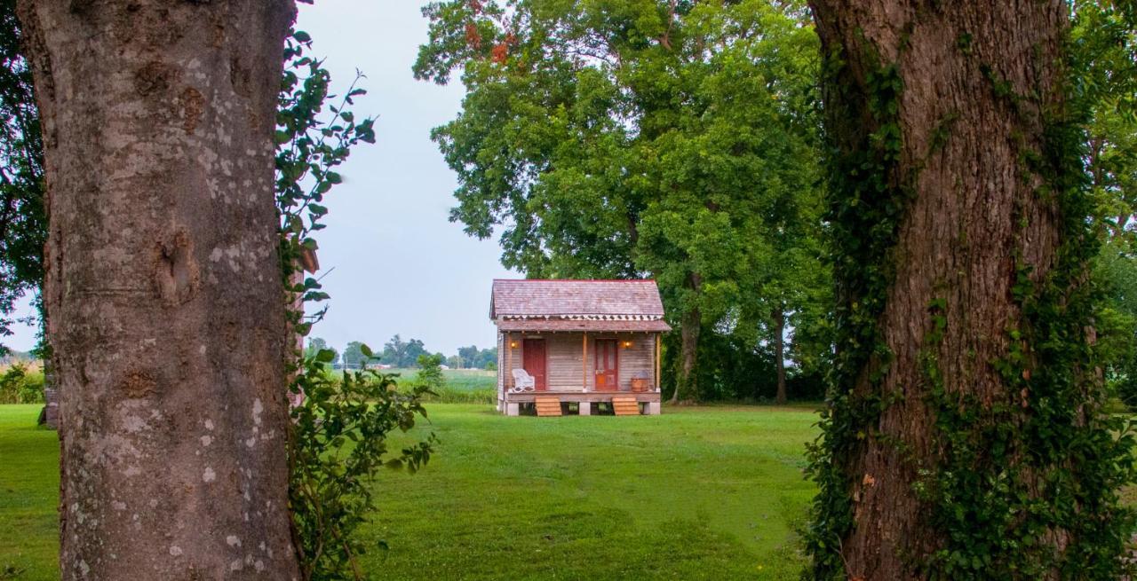Belmont Plantation, Est 1857 Bed and Breakfast Greenville Exterior foto